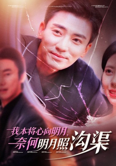我本将心向明月封面图