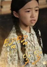 昭昭岁岁封面图