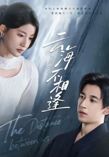 云海不相逢封面图