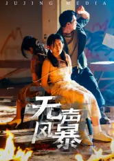 无声风暴封面图